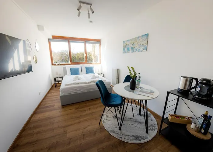 Come4stay - Holzheim I Modern I Wlan I Kueche I Parkplatz I Smarttv Mit Netflix Διαμέρισμα Πασάου
